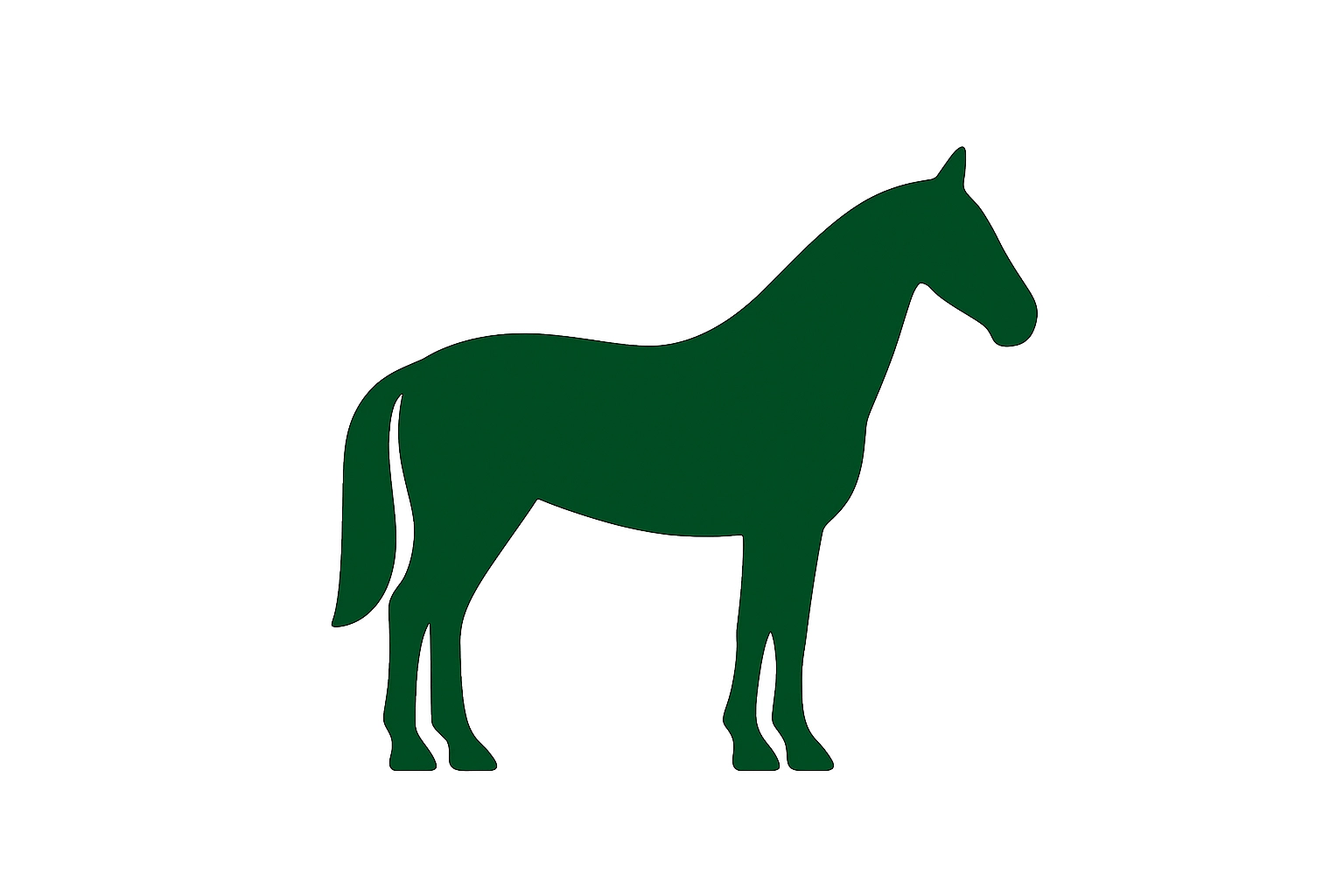 Koně